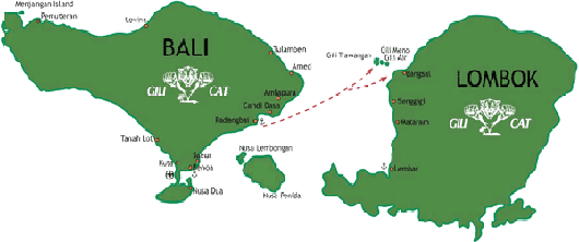 gili cat, gili cat island express, gili cat bali, gili transfer, gili fast boat, gili map